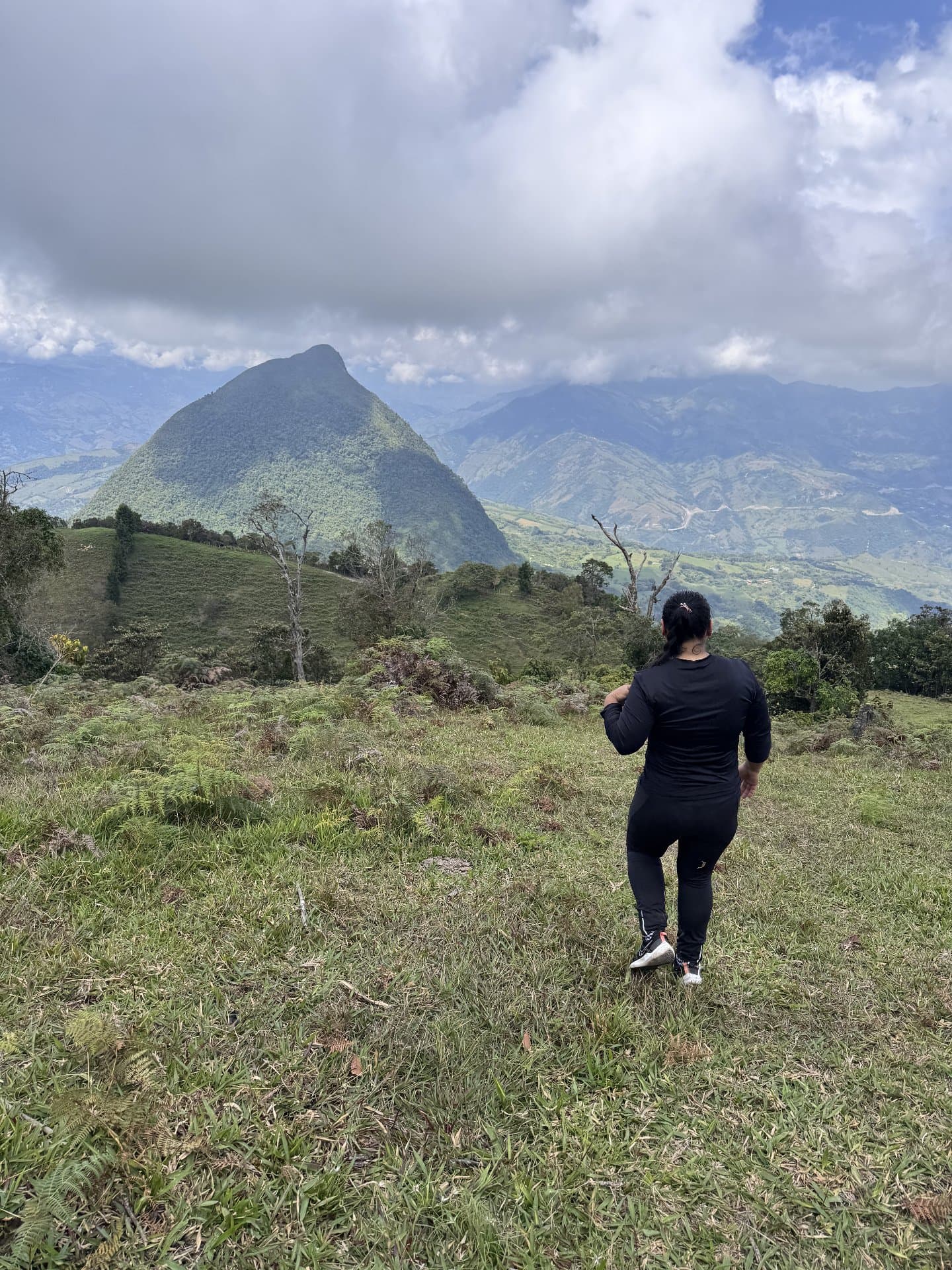 Cerro Sillón