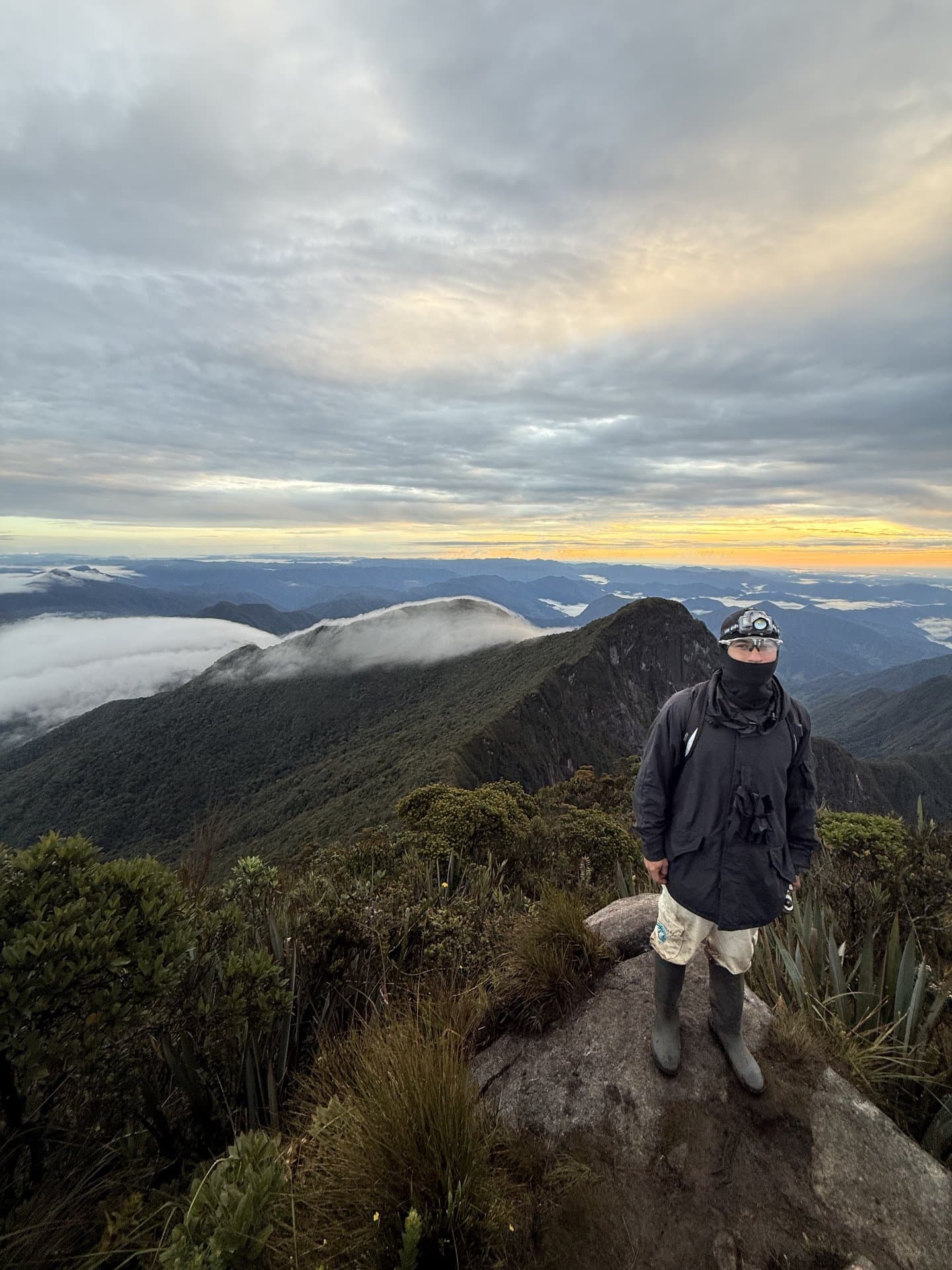 Cerro La Vieja: Páramo