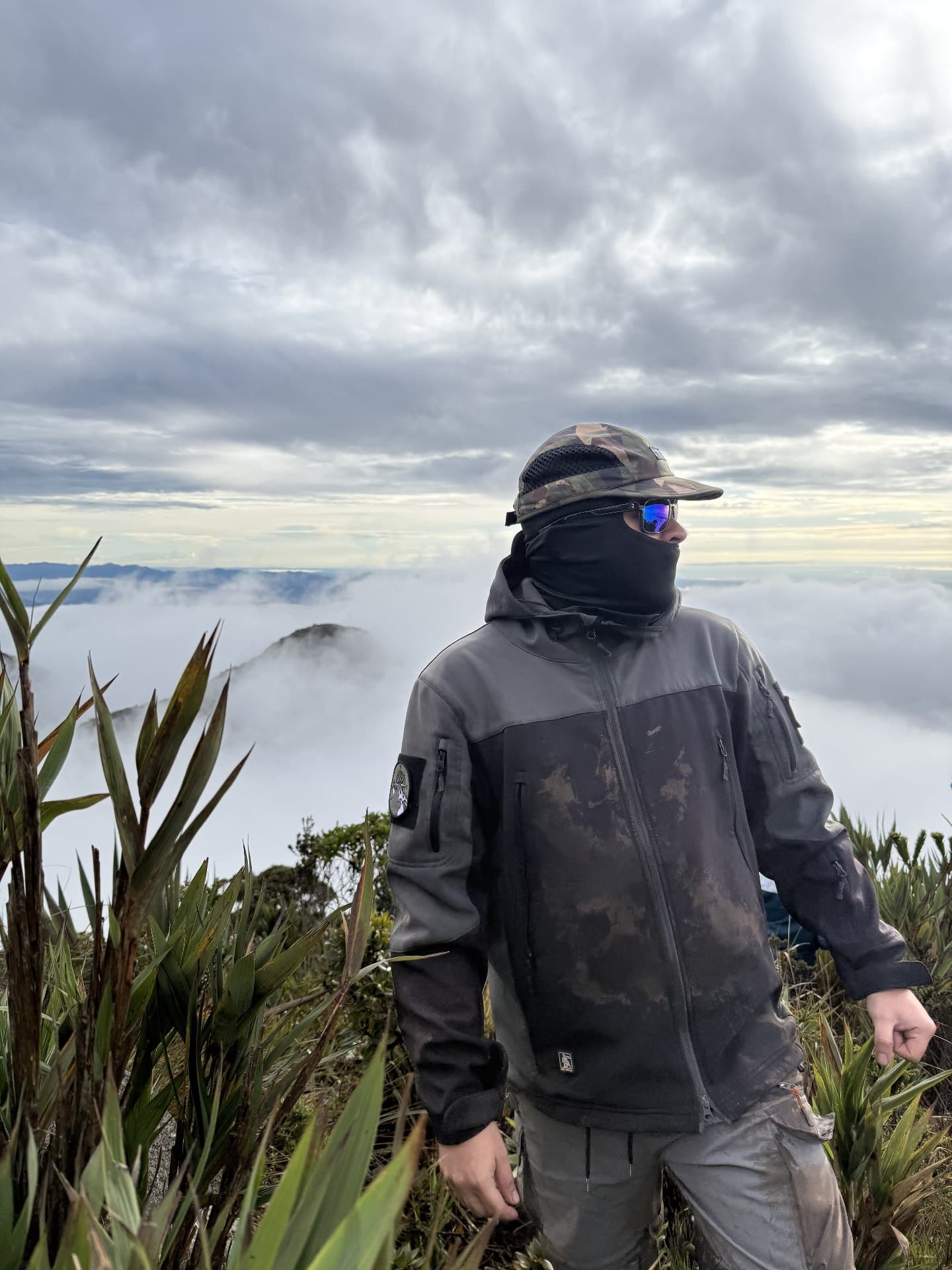 Cerro La Vieja: Páramo