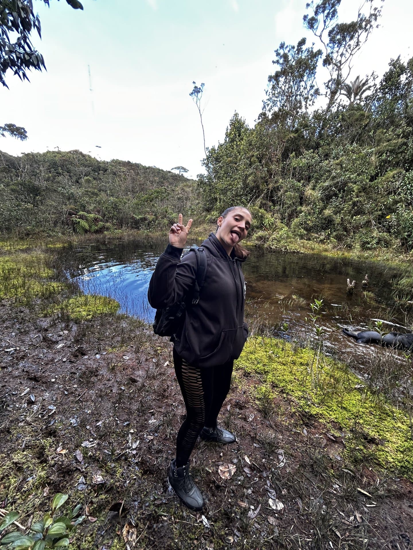 Páramo de las Baldías