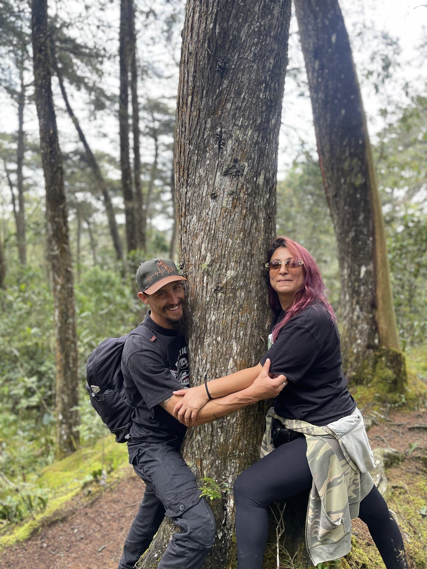 Conexión del Bosque