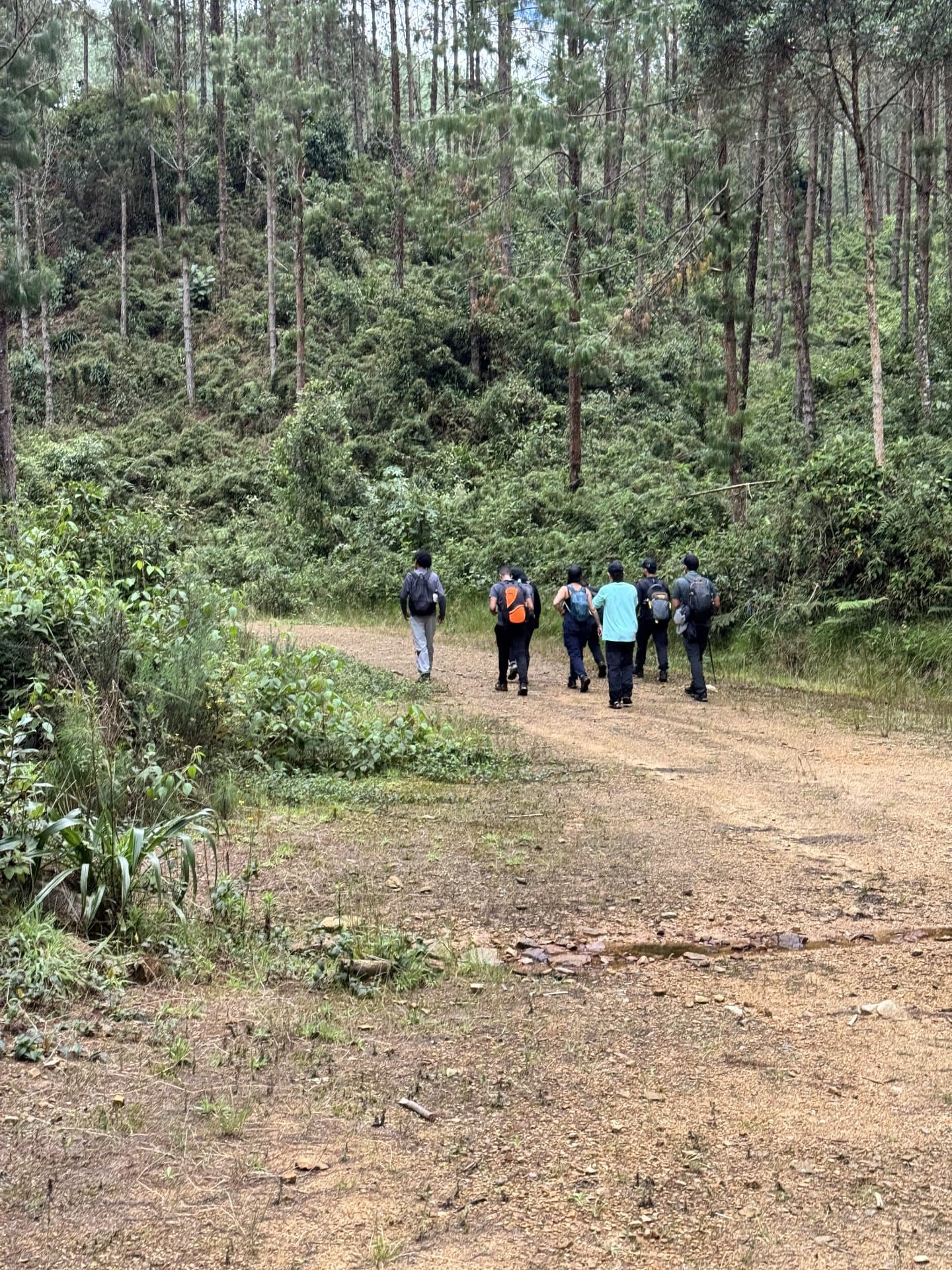 Travesía: De Envigado al Retiro